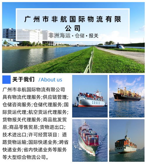 广州至坦桑尼亚专线费用解析及数据处理服务